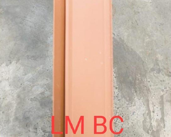 Varian 1